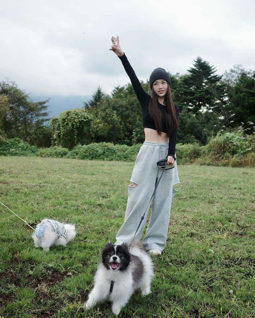 梯真奈美のインスタグラム：「秋のキャンプの思い出🏕  キャンプで食べるご飯も 朝飲むコーヒーも なんでより一層美味しく感じるんだろ♡  こたととも嬉しそうで何よりだった🐶🐶  そろそろまた自然いっぱいの場所に 行きたいな〜🌳」