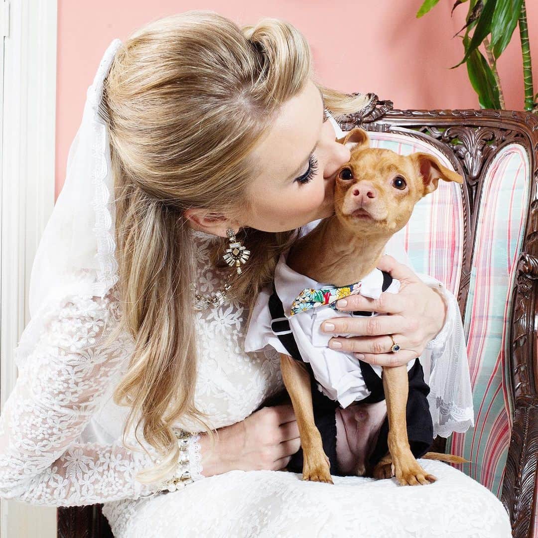Tuna {breed:chiweenie} のインスタグラム：「7 years ago today, I married the love of my life and my best friend. To clarify. I didn’t marry Tuna. I married the other love of my life and best friend- my sweetest Ian. Tuna did have a big part in the wedding though. He was our ring bearer and did an excellent job at not eating the rings. Bonus points for looking dapper. 📸: @agallant」