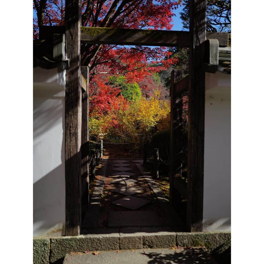 石井美保さんのインスタグラム写真 - (石井美保Instagram)「今年は南禅寺の紅葉🍁#南禅寺#mihoishii_京都」12月4日 23時34分 - miho_ishii