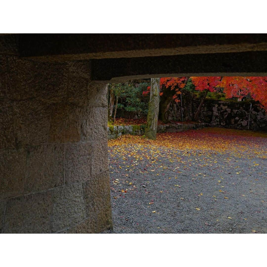 石井美保のインスタグラム：「今年は南禅寺の紅葉🍁#南禅寺#mihoishii_京都」