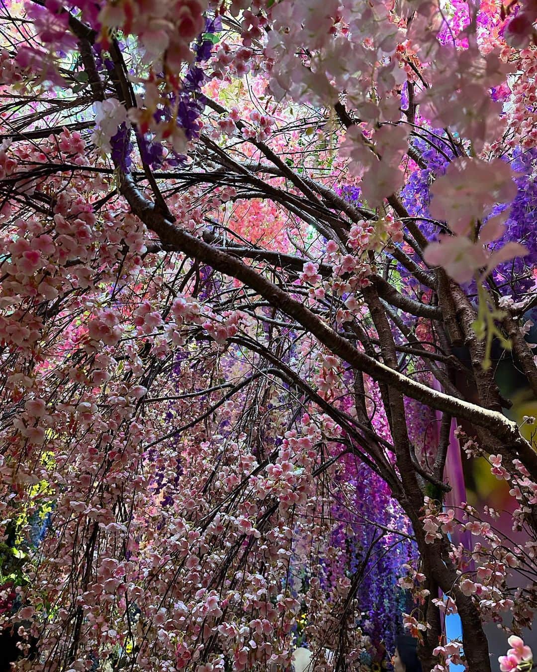 鈴々木響さんのインスタグラム写真 - (鈴々木響Instagram)「Eternity in a Moment 瞬きの中の永遠  #蜷川実花展eim #百万色の桃源郷へ #TOKYONODE」12月5日 0時01分 - hibiki__0106