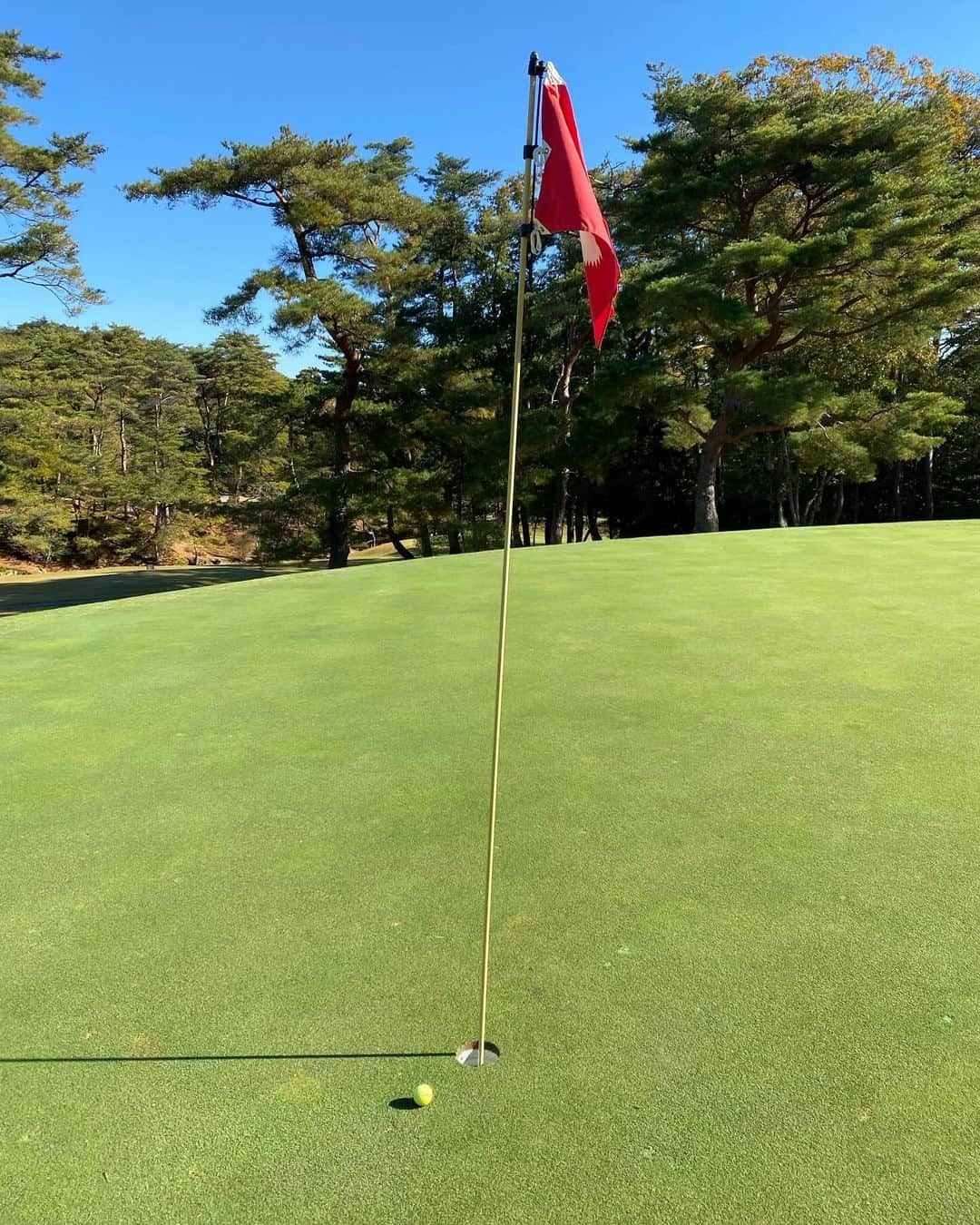 藤森マリナさんのインスタグラム写真 - (藤森マリナInstagram)「紅葉ゴルフ🍁⛳️ ウェア▶︎ @irishman.jp 🤍  ⠀ ⠀ ⠀  ⠀ ⠀ ⠀ #golf#golfwear#golflife#golfswing#ゴルフ女子#ゴルフウェア#irishman#ゴルフスイング#ゴルフコーデ#神戸ゴルフ#西宮高原ゴルフ倶楽部#兵庫ゴルフ#バケハコーデ#aestasterra#まりなはんのゴルフ記録#紅葉ゴルフ#秋ゴルフ#秋ゴルフコーデ」12月5日 0時16分 - maaarina0806