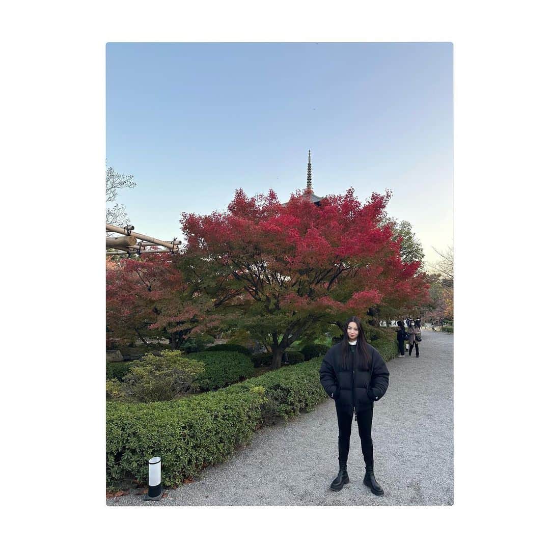 柏原明日架さんのインスタグラム写真 - (柏原明日架Instagram)「…@  紅く染まったもみじ🍁少し肌寒かったけど綺麗でした〜  #紅葉」12月4日 17時01分 - asuka_____official