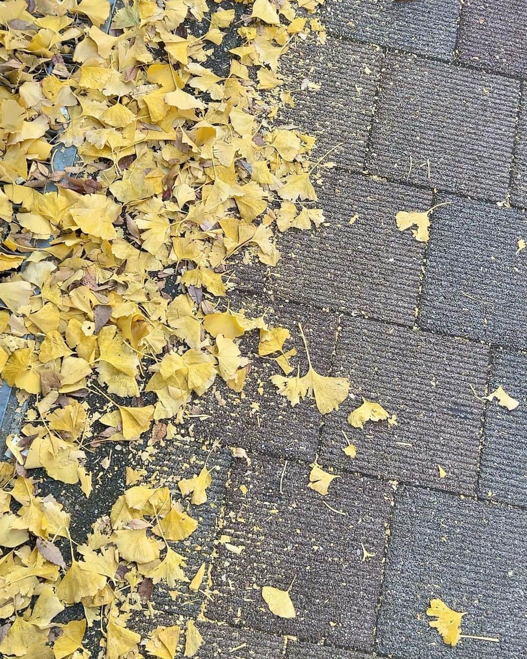 佐藤詩織さんのインスタグラム写真 - (佐藤詩織Instagram)「新しくおろした靴と、モコモコの季節⛄️そして最近の散歩。寒いけど、クリスマス間近で街は可愛くて良いですね」12月4日 17時20分 - shiori_sato_artwork