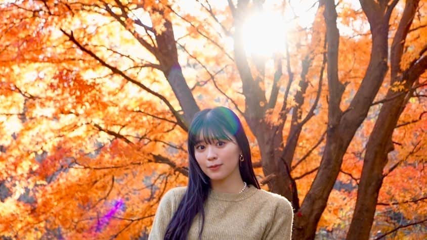 坂井仁香さんのインスタグラム写真 - (坂井仁香Instagram)「🪿🍁  #とき宣#坂井仁香#ひとちゃん#超とき宣#超ときめき宣伝部#idol#私服#紅葉」12月4日 17時36分 - hitoka_sakai_official