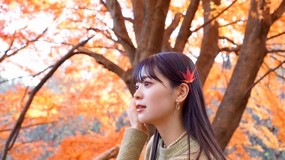 坂井仁香さんのインスタグラム写真 - (坂井仁香Instagram)「🪿🍁  #とき宣#坂井仁香#ひとちゃん#超とき宣#超ときめき宣伝部#idol#私服#紅葉」12月4日 17時36分 - hitoka_sakai_official