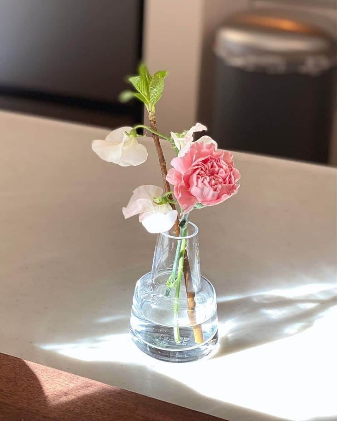 Bloomee LIFEさんのインスタグラム写真 - (Bloomee LIFEInstagram)「． みなさま、お花の茎が腐りやすかったり カビやすいことはありませんか？  原因はいくつかありますが、中でも特に 花瓶の「水」の量が多く 茎が浸かりすぎていることが考えられます👀  💡お花の茎が腐ったりカビると…？ ❶ 花瓶の水が汚れやすくなる 水に浸かりすぎることで茎は腐りやすくなりますが 腐った茎が浸かっている水を汚す原因に…  ❷水を吸い上げられなくなる 茎の中にある水を吸い上げるための 導管が機能しなくなり、 十分に水を吸い上げられなくなります。  お花の持ちにも影響が出てしまいます！  対策は“水の量を控えめに◎” 花瓶の水量は、茎の下から3～5㎝くらいでOK! また、茎が腐ったりカビが生えた場合は 茎の大胆カットがおすすめです✂  🌻特に腐りやすい花材は ガーベラやひまわり、茎の柔らかいチューリップなど ぜひ、花瓶の水量には気を付けながら  #お花のある暮らし をお楽しみくださいね✨  ーーーーーーーーーーーーーーーー  お花が届いたら『 #ブルーミー 』 をつけて投稿してみてください📸  ほかの投稿は @bloomee でチェック👀🌹  #bloomee #お花の定期便 #お花のサブスク #花部 #花写真 #花を楽しむ #花が好き #花好きな人と繋がりたい #花のある生活 #花のある生活が好き #花を飾る #暮らしを楽しむ #丁寧な暮らし #豊かな暮らし #インテリアフラワー #フラワーインテリア #ナチュラルインテリア #お花の管理 #花の管理 #水切り #水揚げ #ガーベラ #向日葵 #ひまわり #チューリップ」12月4日 18時00分 - bloomee