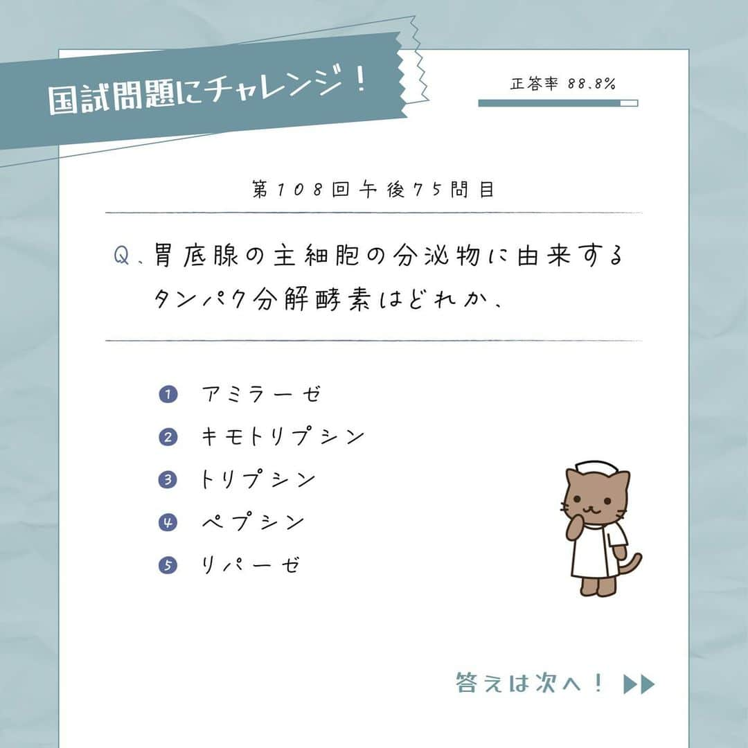 ネコナースさんのインスタグラム写真 - (ネコナースInstagram)「今回紹介する先輩（@__ns.14）は、胃の主な分泌細胞、分泌物をイラストとゴロを使ってまとめてくれています。   12月に突入し、国試まで2ヶ月余りとなりましたね📚 イラストとゴロを使うと、いざというときに楽しく思い出せる！🥰   『レビューブック2023-24』A-5辺りに、自分が楽しく思い出せそうなゴロを付箋などで書いて貼ってみては？？💛   #レビューブック #先輩たちのレビューブック #マイレビューブック #レビューブック太っちょ計画 #第113回看護師国家試験 #胃 #かんごろ #ペプシノーゲン #看護学生の勉強垢 #看護学生さんと仲良くなりたい #メディックメディア」12月4日 18時03分 - neco_nurse