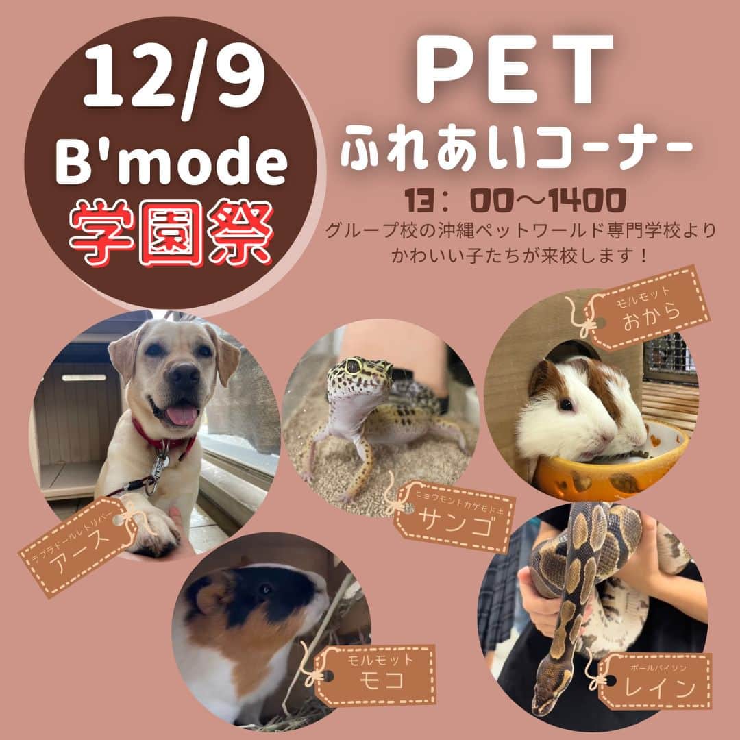 Bmodeのインスタグラム
