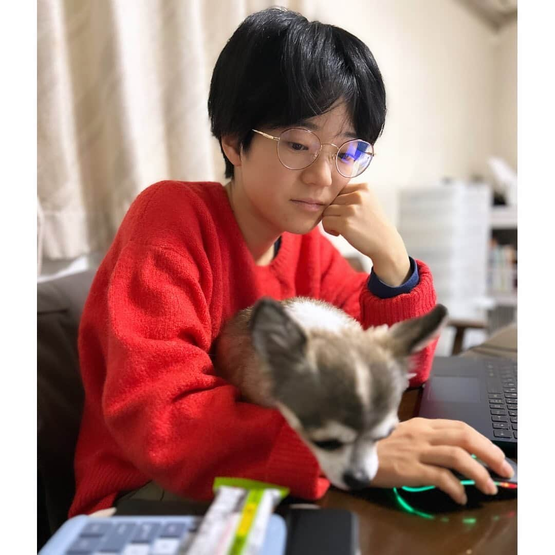 安田遥香（アホロートル）さんのインスタグラム写真 - (安田遥香（アホロートル）Instagram)「💻🐕」12月4日 18時09分 - axoyasuda