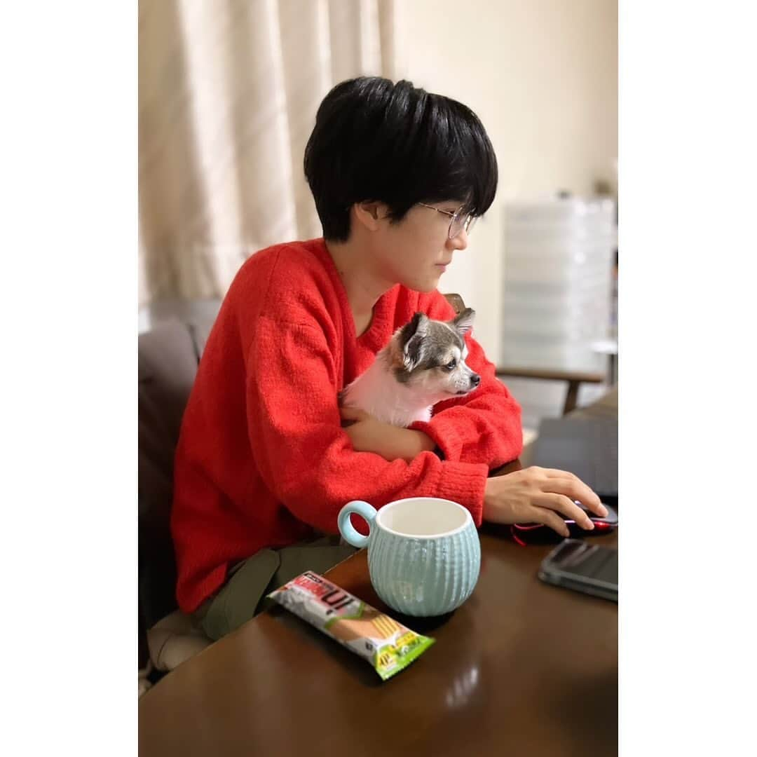 安田遥香（アホロートル）さんのインスタグラム写真 - (安田遥香（アホロートル）Instagram)「💻🐕」12月4日 18時09分 - axoyasuda