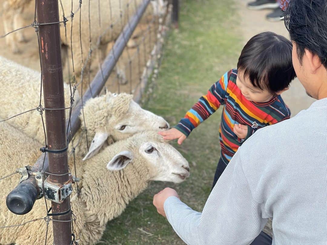 田中響子さんのインスタグラム写真 - (田中響子Instagram)「少し前の東京ドイツ村🇩🇪  我が家はドイツ村気に入りすぎて リピートしております。  動物好きの息子は餌やりができる こども動物園が大好き🐏 こちらのエサにかなり課金してます…！ (あとトーマスの乗り物)  ちょうどイルミネーションが 始まった日に行けてラッキーでした。 (イルミネーション人気スポットだと この日まで知らなかった🫣)  暖かくなったらまた行こうね〜🤍」12月4日 18時18分 - coco.golf