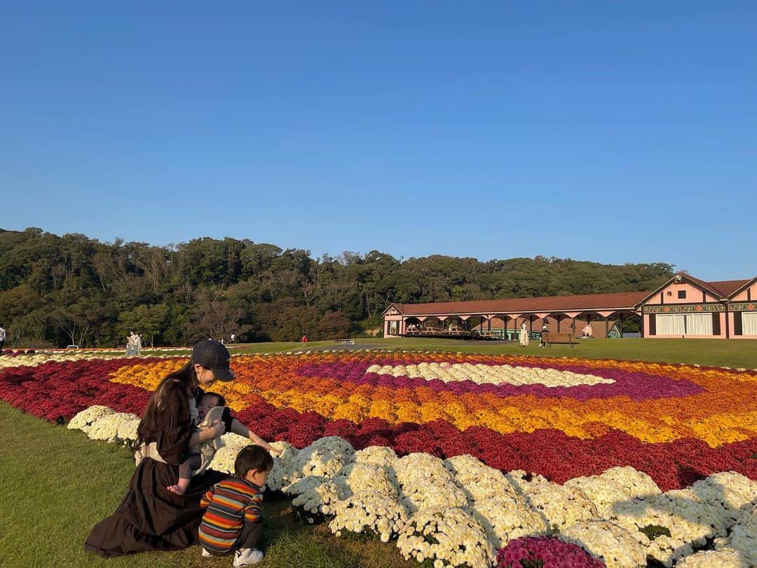 田中響子のインスタグラム：「少し前の東京ドイツ村🇩🇪  我が家はドイツ村気に入りすぎて リピートしております。  動物好きの息子は餌やりができる こども動物園が大好き🐏 こちらのエサにかなり課金してます…！ (あとトーマスの乗り物)  ちょうどイルミネーションが 始まった日に行けてラッキーでした。 (イルミネーション人気スポットだと この日まで知らなかった🫣)  暖かくなったらまた行こうね〜🤍」