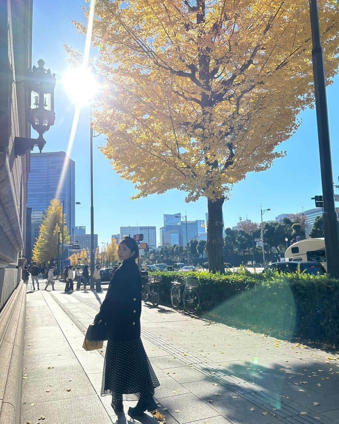 佐藤真知子のインスタグラム：「🍁 気づけば、12月。 イチョウが終わりそうだからペタリと貼っておこう、っと。 jacket生活もう少し楽しみたい…💛  #hellodecember  #2023 #無加工だけどこのキレイさ」