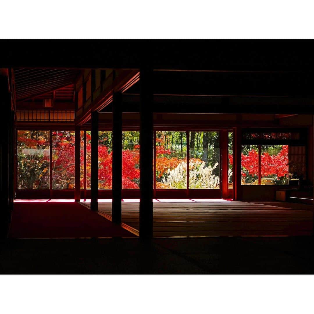 石井美保のインスタグラム：「紅葉を見に🍁#天授庵#mihoishii_京都」