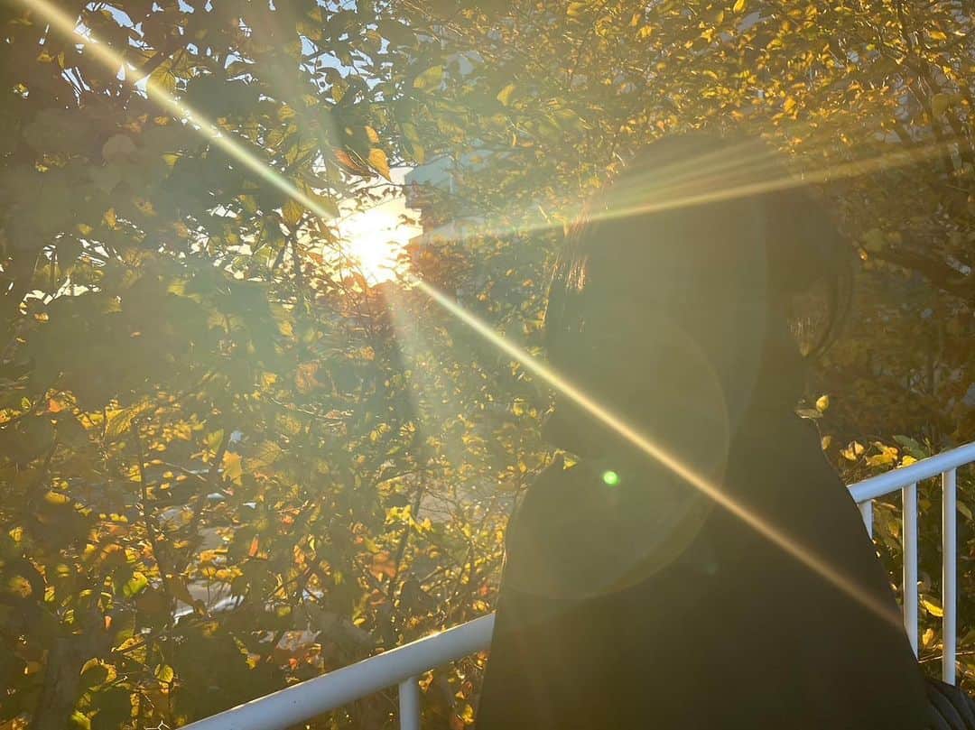 田野優花のインスタグラム：「太陽すぐあびたくなる 陽の光は大事🙂」