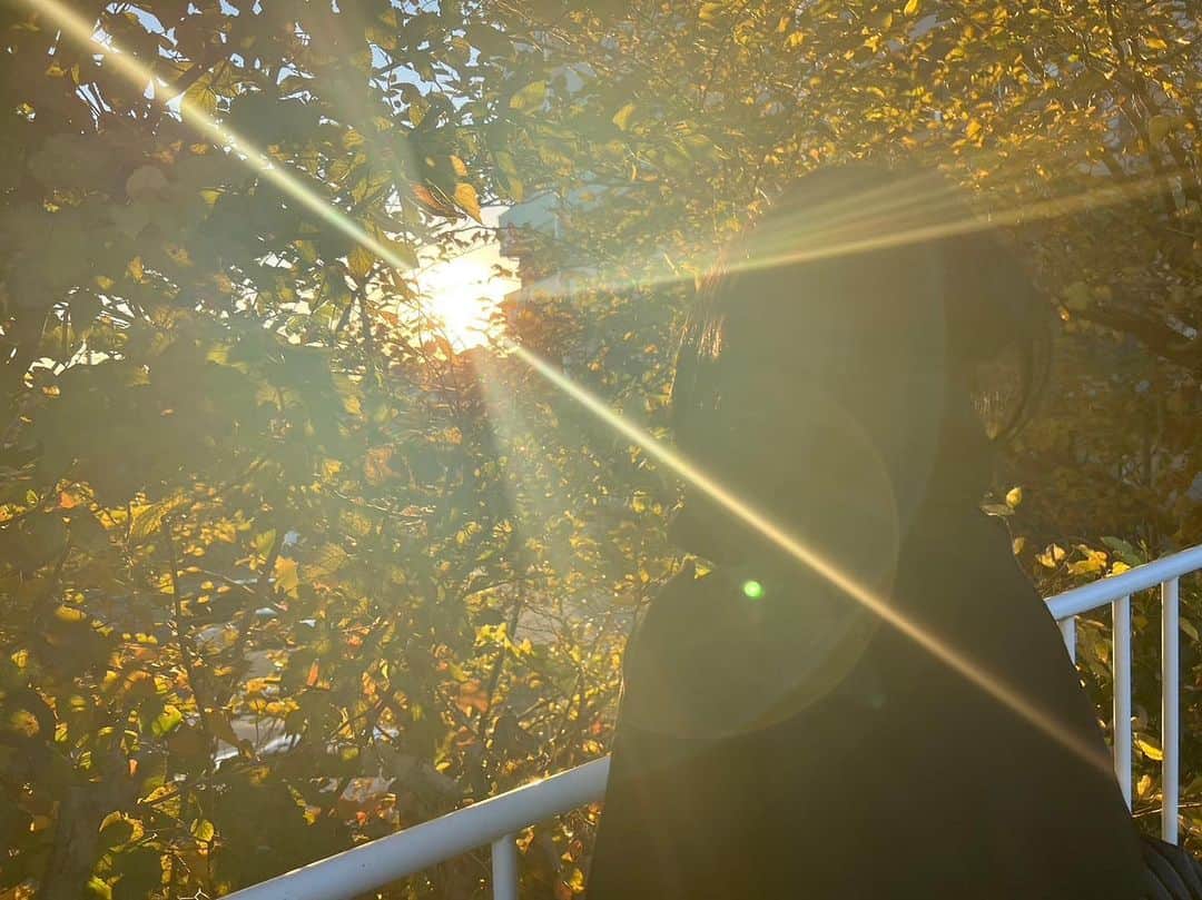 田野優花のインスタグラム