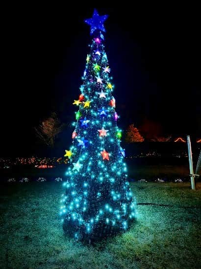 MAKO0MAKO0のインスタグラム：「🎄✨ #tree #christmastree #night」