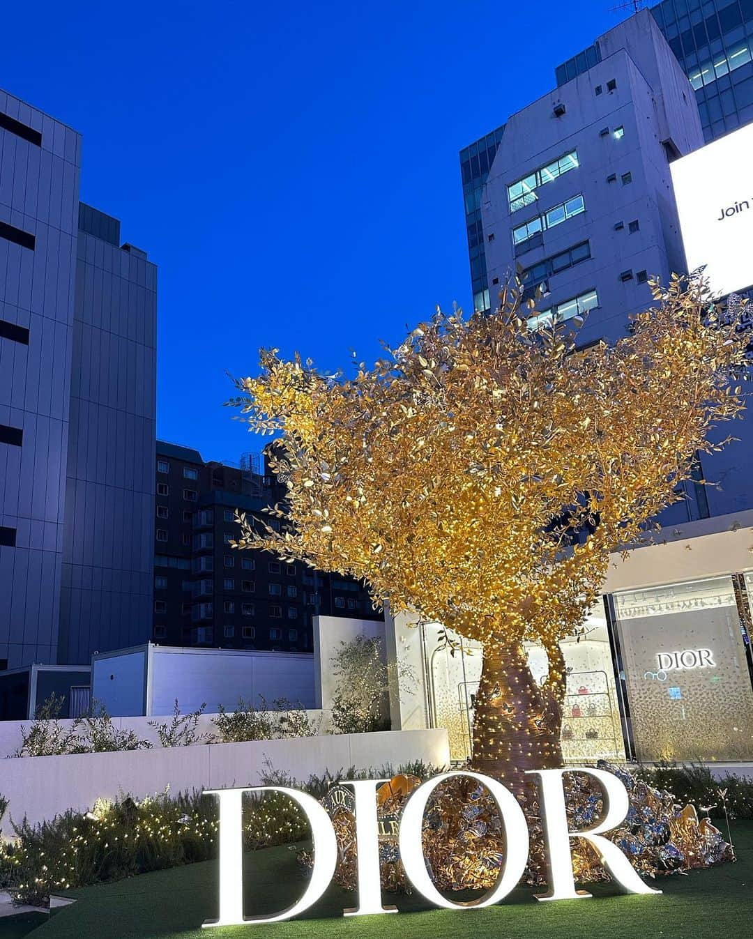 関絵理子さんのインスタグラム写真 - (関絵理子Instagram)「@dior ✨✨  来たかったホリデーポップアップ♡ キラキラの表参道にて12/25まで🎄💕」12月4日 18時59分 - erikopanda