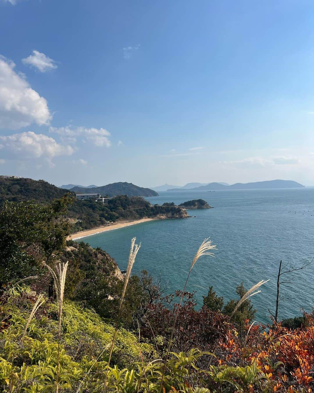 山中美智子さんのインスタグラム写真 - (山中美智子Instagram)「岡山からの直島 女子旅✌🏾 みんなで来れて最高でした✨  ありがとう岡山&香川県🤍  1-4  @sanamane_naoshima  海も目の前。 芸術的なサウナと、朝ごはんまでめちゃくちゃ美味しいグランピング施設🌴  マヨネーズエッグトースト🍞真似したい🍳  5  I♡湯　大きな🐘がいる銭湯♨️  6 .7 地中美術館の中にあるカフェにて　瀬戸内海を眺めました  8 宇野港から直島はフェリーか水上タクシー✌🏾こちらは水上タクシーです✨  9.10 帰り岡山でピザを食べました🍕美味しくて驚き🫢  女子旅っていいな🫶🏾」12月4日 19時06分 - alexiastam1988