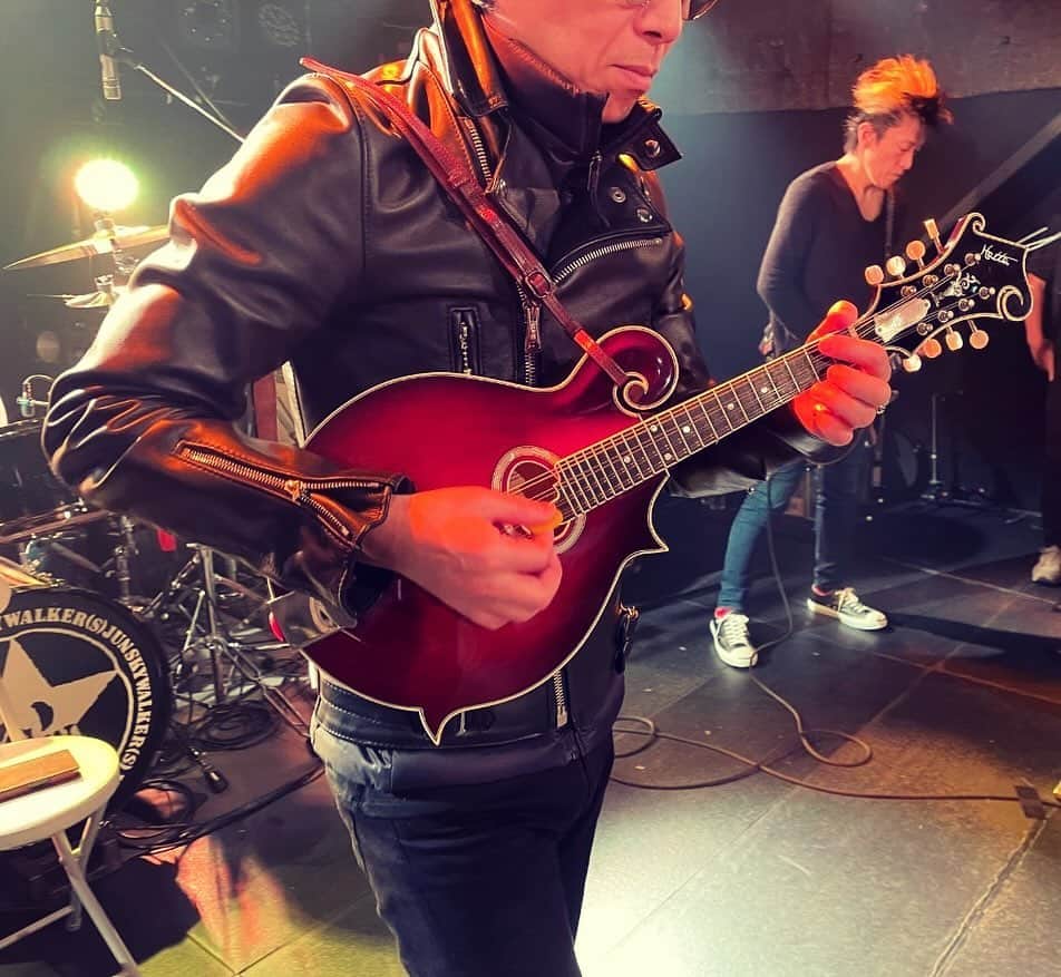 宮田和弥さんのインスタグラム写真 - (宮田和弥Instagram)「ジュンスカツアーでHatta Mandolin大活躍してます！ルイスレザーとマンドリンも良い感じ！引き続きよろしくね！#HattaMandolin #八田マンドリン #lewisleathers #lewisleathersjapan #ルイスレザー #宮田和弥 #ジュンスカ #junskywalkers」12月4日 19時16分 - miyatakazuyaofficial