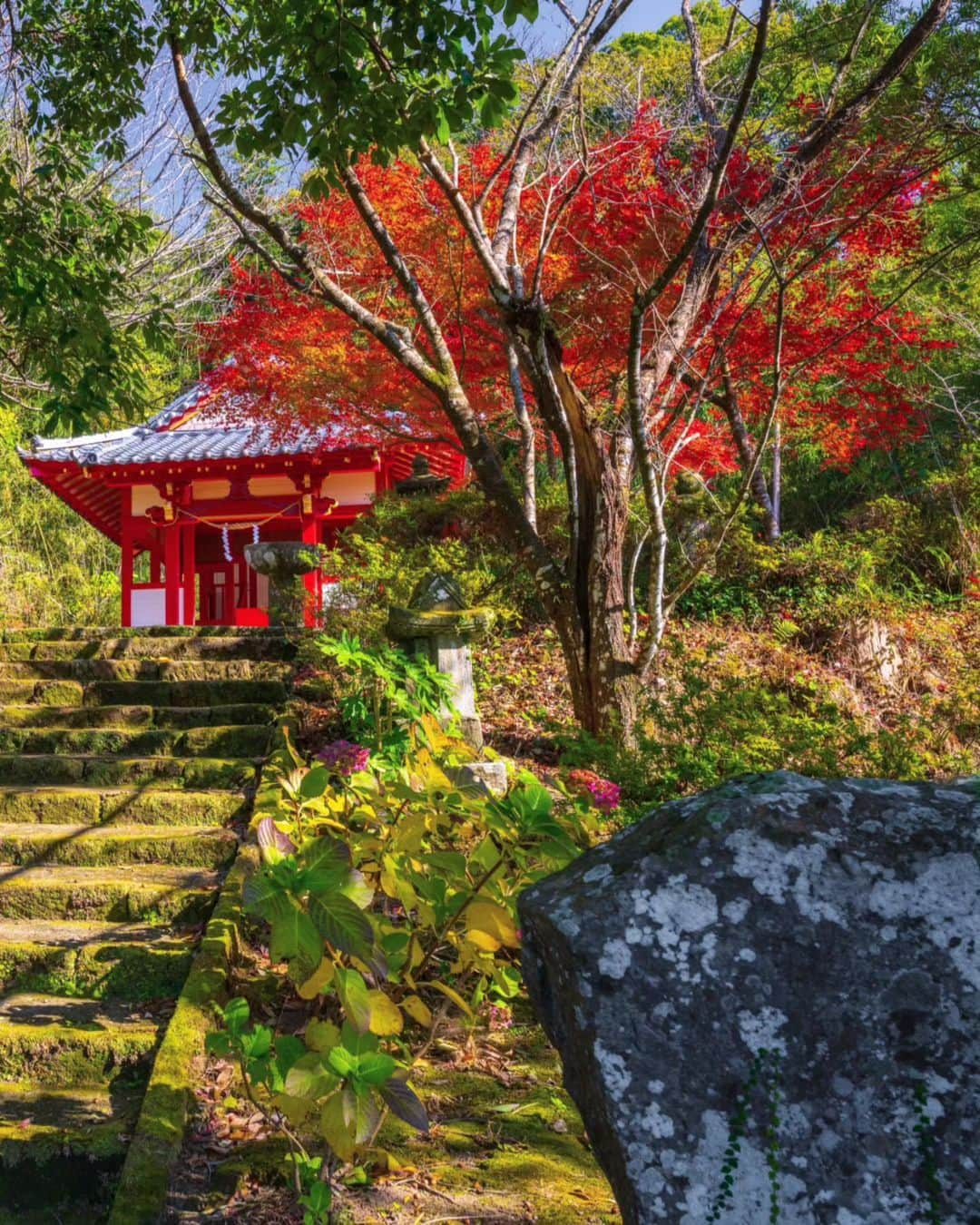 鹿児島よかもん再発見さんのインスタグラム写真 - (鹿児島よかもん再発見Instagram)「南さつま市金峰町白川の日枝神社にて＼(^o^)／ R5/12/2  特別、紅葉の名所となっていない神社であっても、もみじやイチョウがあるところは多いもの  と、言うことで、訪ねてみたらバッチリ見頃でした🍁  #鹿児島 #鹿児島紅葉 #鹿児島観光 #南さつま市 #南さつま市金峰町 #金峰町 #金峰町白川 #日枝神社 #白川日枝神社 #神社 #鹿児島の自然 #鹿児島の風景 #紅葉 #もみじ #kagoshima #kagoshimaphoto  #kagoshimaphotograph  #japan  #kyusyu」12月4日 19時21分 - kagoshimayokamon