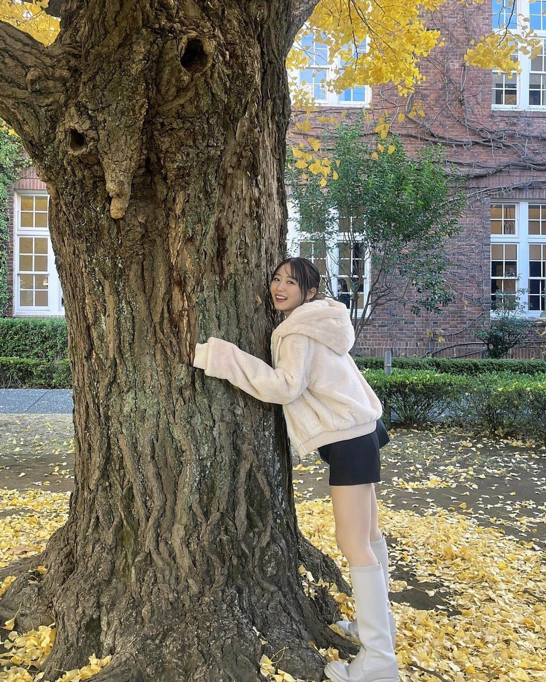 沖玲萌さんのインスタグラム写真 - (沖玲萌Instagram)「🍁🍁🍁」12月4日 19時29分 - remoni_oki