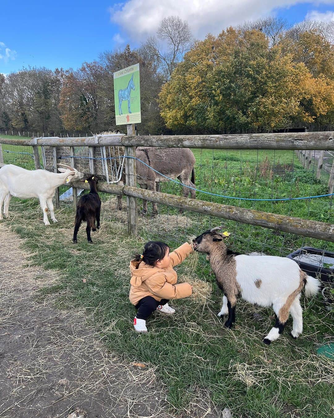 HISANAさんのインスタグラム写真 - (HISANAInstagram)「すずちゃん動物が大好きなので、パリの牧場に行ったよ🐏 🌳Les Fermes de Gally  すごく綺麗でかわいい牧場🐖🐓🐄🐐 ひつじややぎさんたちにごはんをあげれて嬉しそうでした👧🏻💕  料金はこちら3歳以下は無料で3歳から4.90€ 12歳から5,30€  #2歳#2歳女の子#誕生日#パリ旅行#子連れパリ#子連れ海外#2yearsold#paris」12月4日 19時46分 - hisana22