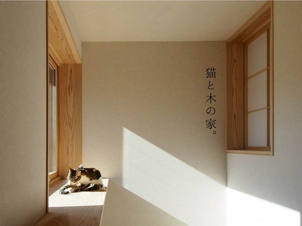 シーエッチ建築工房 さんのインスタグラム写真 - (シーエッチ建築工房 Instagram)「* 猫と暮らす家。 猫に心地よいことは 人も心地よいこともあり もちろんその逆もある。 ⠀⠀⠀⠀⠀⠀⠀⠀⠀⠀⠀⠀ 人のためのくつろぎスペースと 猫のためのくつろぎスペースを設けて 一緒にいたり別々にいたりできる家。 ⠀⠀⠀⠀⠀⠀⠀⠀⠀⠀⠀⠀ 見上げればふと、 そこに猫がいるなんて 猫好きさんにはたまらない家。 ⠀⠀⠀⠀⠀⠀⠀⠀⠀⠀⠀⠀ ⠀⠀⠀⠀⠀⠀⠀⠀⠀⠀⠀⠀ ──────────── 株式会社シーエッチ建築工房 兵庫県宝塚市仁川台76番地 0798-52-8863 https://www.ch-wood.co.jp ──────────── @ch_kenchiku @ch_namie.takarazuka @ch_watanabe ⠀⠀⠀⠀⠀⠀⠀⠀⠀⠀⠀⠀ ⠀⠀⠀⠀⠀⠀⠀⠀⠀⠀⠀⠀ #シーエッチ建築工房 #木の家 #家づくり #注文住宅 #新築 #リノベーション #住まい #暮らし #日々のこと #マイホーム ⠀⠀⠀⠀⠀⠀⠀⠀⠀⠀⠀⠀ #宝塚市 #西宮市 #三田市 #川西市 #伊丹市 #三木市 #豊中市 #高槻市 #吹田市 #神戸市 #工務店 #自然素材 #暮らしを楽しむ #ねこのいる生活  #家が好き #パッシブデザイン #丁寧な暮らし #家づくりアイデア #猫のいる暮らし #ねこすたぐらむ」12月4日 19時48分 - ch_kenchiku