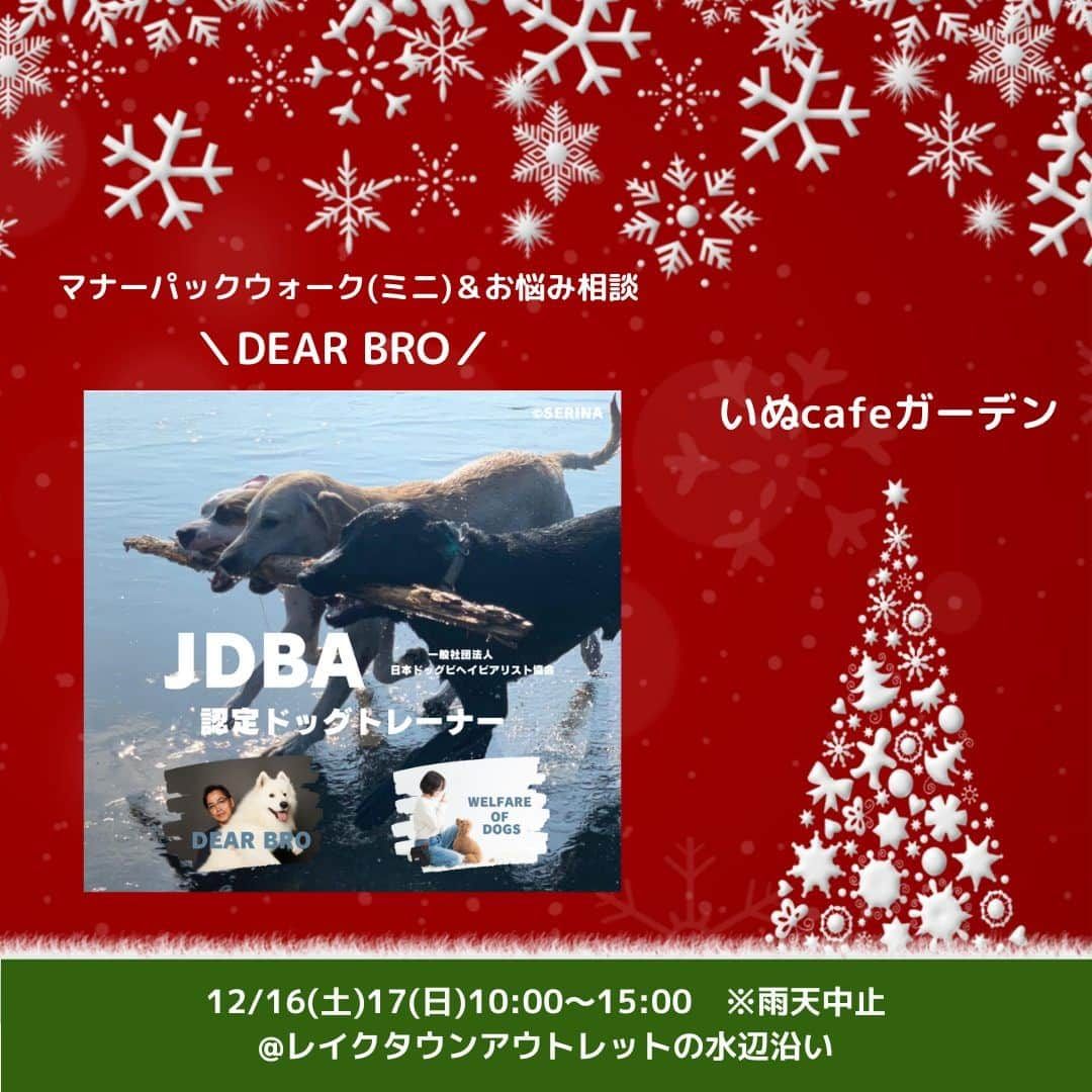 甲斐麻美のインスタグラム：「. 12/16(土)17(日) 愛犬と過ごすSpecial Christmas！ \\いぬcafeガーデン// 　@レイクタウンアウトレットの水辺沿い  【 マナーパックウォーク(ミニ)＆お悩み相談 】 12/16(土)17(日)両日  ＼JDBA認定ドッグトレーナー　DEAR BRO／ (@dear.bro_) ▶ドッグトレーニング＆お悩み相談  🐕犬と歩こう！マナーパックウォーク（ミニ）  犬は本来群れで暮らす社会的な動物です。 普段は単頭飼いされている犬たちに群れ（パック）で散歩をする経験をさせてあげませんか。 社会性が身についたり、普段は見られない多頭の中での愛犬の姿を見ることができます。 ※他犬と近づける際のマナー、挨拶のさせ方なども飼い主様にお伝えします😊  ◎12/16（土）10:00〜10:45 ◎12/17（日）10:00〜10:45  45分　¥1500（税込・一頭につき） 各回6組限定（お申込み順となります。）  ※ご予約のみ【ご希望の曜日をお知らせください。】  === 🐕ドッグトレーナーによる困りごと相談  11時〜15時 30分　¥1000（税込）  【ご予約のおすすめ】 ※お待ちいただく事のないよう、事前のご予約をお薦めいたします。  【犬のお悩み相談】 犬に関するあらゆるお悩みに犬の行動の専門家が、 問題解決の糸口になるアドバイスをさせて頂きます。  ・人や犬に吠える、かみつく ・2頭目を迎えるときの注意点！ ・育て方やトレーニング方法はこれでいいの？ ・パピーの社会化  などなど、お気軽にご相談ください。  ご予約・問い合わせ先 ◎DEAR BRO 《ディアブロ》熊谷孝一@dear.bro_  ◎WELFARE OF DOGS 《ウェルフェアオブドッグズ》石島裕子@welfareofdogs_  ＝＝＝ 一般社団法人「日本ドッグビヘイビアリスト協会」 JDBA認定ドッグトレーナー ・DEAR BRO 熊谷孝一 ・WELFARE OB DOGS 石島裕子  ◎私たちJDBA認定トレーナーは犬に苦痛と恐怖を与えるトレーニング方法は一切行いません。 動物行動学・応用行動分析・心理学などの科学的根拠に基づき トレーニングとサポートを行う犬の行動の専門家です。  ================ 　いぬ cafe ガーデン ================ 日時：R5.12/16(土)17(日) 10:00～15:00 ※雨天中止 場所：レイクタウンアウトレット JR武蔵野線　越谷レイクタウン駅　徒歩7分 ※入場無料 ※カフェエリア予約優先（ワンドリンク制）  ■カフェのご予約はこちら💓 >> https//reserva.be/inutowatashi プロフィール欄から飛べます🕊  #いぬcafeガーデン #いぬとわたし #レイクタウンアウトレット #犬イベント #いぬのいる暮らし #ドッグカフェ #犬とクリスマス #クリスマスイベント #犬との暮らし #犬ファースト #犬好きさんと繋がりたい #犬がいないと生きていけません #犬好き　#いぬカフェ #犬のイベント #犬イベント #ドッグトレーニング #犬のお悩み相談」