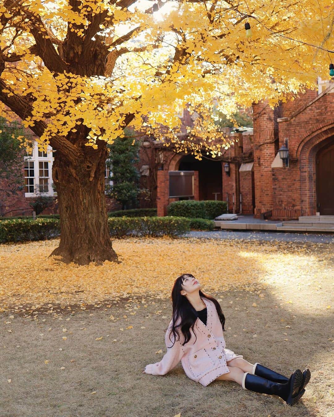 加藤美南さんのインスタグラム写真 - (加藤美南Instagram)「秋の思い出おわり📸🍂🤝🏻」12月4日 19時55分 - minamikato_0115