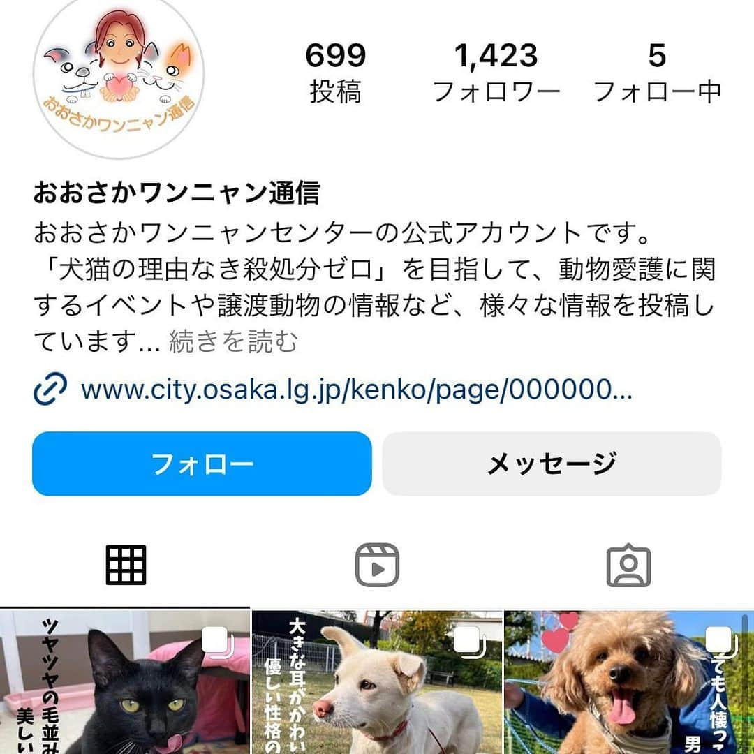 猫カフェきぶん屋さんのインスタグラム写真 - (猫カフェきぶん屋Instagram)「おおさかわんにゃんセンターを応援したい‼︎  いいね！保存、フォローお願いします！ Instagramで集まったアクションを金額にして支援します。  Instagramのこの投稿のいいね、保存ボタン（画像右下のリボンの切れ端のようなボタン）一件ごとに1円 フォロワーさん増1人あたり10円 寄付します。 48時間後の数をふるさと納税で支援します。 皆様がリアクションしてくださると、たくさんの人の目に届き支援が集まりやすくなるのでぜひご協力お願いします！  送付先は大阪市のふるさと納税動物愛護枠に。  『理由なき殺処分0』 なんだそりゃと気になって自分の県以外の動物愛護センターを訪れたのは大阪市にあるこのセンターが初めてでした。 いやいや、動物愛護センター＝殺処分するところでしょと当時とんがっていた頭にクエスチョンマークを浮かべながら1人で訪問。 丁寧に案内してくださる職員さん。 収容中の猫が風邪の治療を受け、この子達が完治したら毎月ある譲渡会で里親探しをするという話を聞いたり、犬のトリミングをしている職員さんがいたり。  「この人たちは殺処分したいわけでもなく事情があって殺処分しないといけないのか」とそれまでの動物愛護センターに持っていた僕の中の偏見が変わりました。 もちろんその事情も色々で納得できないこともやはりあるでしょうが予算の中でやっていかなければならないという立場でやりたくない判断もしなければならない現実があります。  行政が変わるとこんなにも違うのかと政治に興味を持った場所でもあります。 この方針は当時の吉村市長と杉本彩さんらが意見交換しながら取り入れたそうで、同じように殺処分を減らすためにいろんな自治体が変わっています。  なぜ変わったのか。 大きな一つの要因は民意です。 国全体の犬猫だけに限らず全ての動物に対する意識が昔に比べてどんどん変わっています。 まだまだ猫の活動者の声が反映されていないことも多いでしょうが現場の人と力を合わせていつか『理由なき』の文字がなくなるように、予算をふるさと納税で増やすというのはとても有効な手段です。 まだ今年分を使ってない人はぜひいろんな自治体の動物愛護の予算枠を使い道に選んでください😉  ぜひ投稿のいいね、保存でたくさん支援させてください😊 ぜひ紙飛行機マークでストーリーズや友だちにもメッセージお願いします🙌  #ふるさと納税  #動物愛護 #おおさかわんにゃんセンター  #動物愛護センター」12月4日 19時58分 - nekocafekibunya