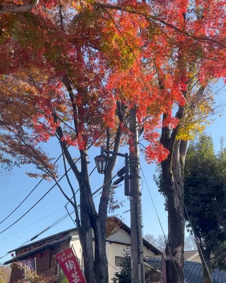 中村里帆のインスタグラム：「🍂👋」