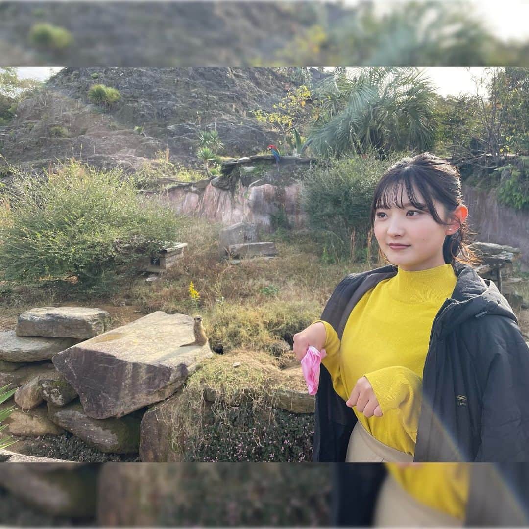 悠花さんのインスタグラム写真 - (悠花Instagram)「もうひとつお知らせです📢♡ CM撮影の時のオフショットを添えて🤭📸 • 12月から 【株式会社ホンダ四輪販売九州北】さんのお仕事で、 Honda Cars福岡、 Honda Cars長崎、 Honda Cars大分でも ご一緒させて頂く事になりました🚗✨ 早速クリスマスHondaキャンペーンが始まっています🎄 • ホームページや、 ホンダ四輪販売九州北さんの公式LINEを追加してもらうと 私が出てきますよ〜🫢 ぜひご覧になってみてください👀💕 https://honda-kyushukita.co.jp/lp/ad/2312/ • CMは長崎県でしか流れておりませんが、 長崎県以外の方にも知って頂けるように頑張ります☀️ • #ホンダ四輪販売九州北 #HondaCars福岡 #HondaCars長崎 #HondaCars大分」12月4日 20時04分 - haruka_217_