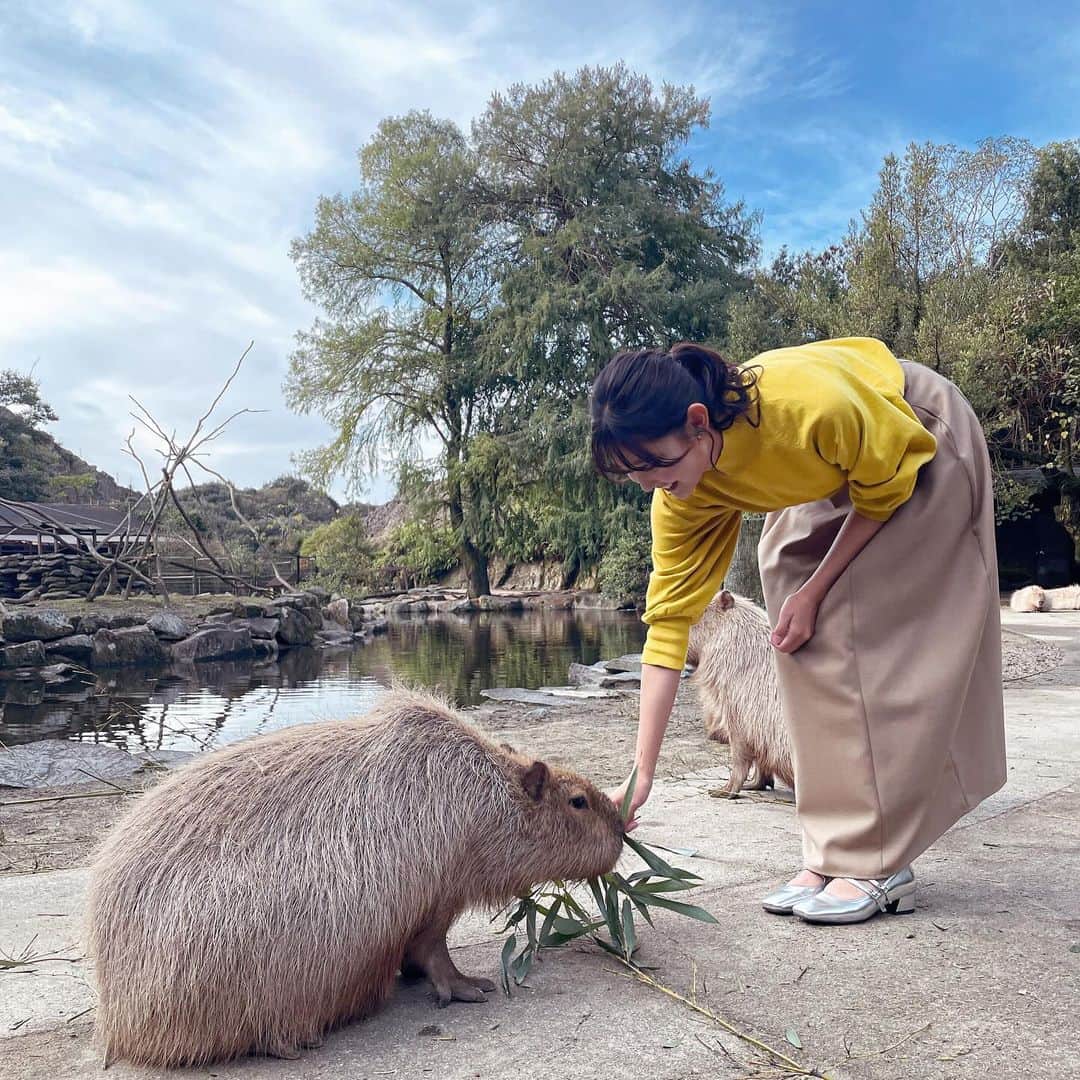 悠花さんのインスタグラム写真 - (悠花Instagram)「もうひとつお知らせです📢♡ CM撮影の時のオフショットを添えて🤭📸 • 12月から 【株式会社ホンダ四輪販売九州北】さんのお仕事で、 Honda Cars福岡、 Honda Cars長崎、 Honda Cars大分でも ご一緒させて頂く事になりました🚗✨ 早速クリスマスHondaキャンペーンが始まっています🎄 • ホームページや、 ホンダ四輪販売九州北さんの公式LINEを追加してもらうと 私が出てきますよ〜🫢 ぜひご覧になってみてください👀💕 https://honda-kyushukita.co.jp/lp/ad/2312/ • CMは長崎県でしか流れておりませんが、 長崎県以外の方にも知って頂けるように頑張ります☀️ • #ホンダ四輪販売九州北 #HondaCars福岡 #HondaCars長崎 #HondaCars大分」12月4日 20時04分 - haruka_217_