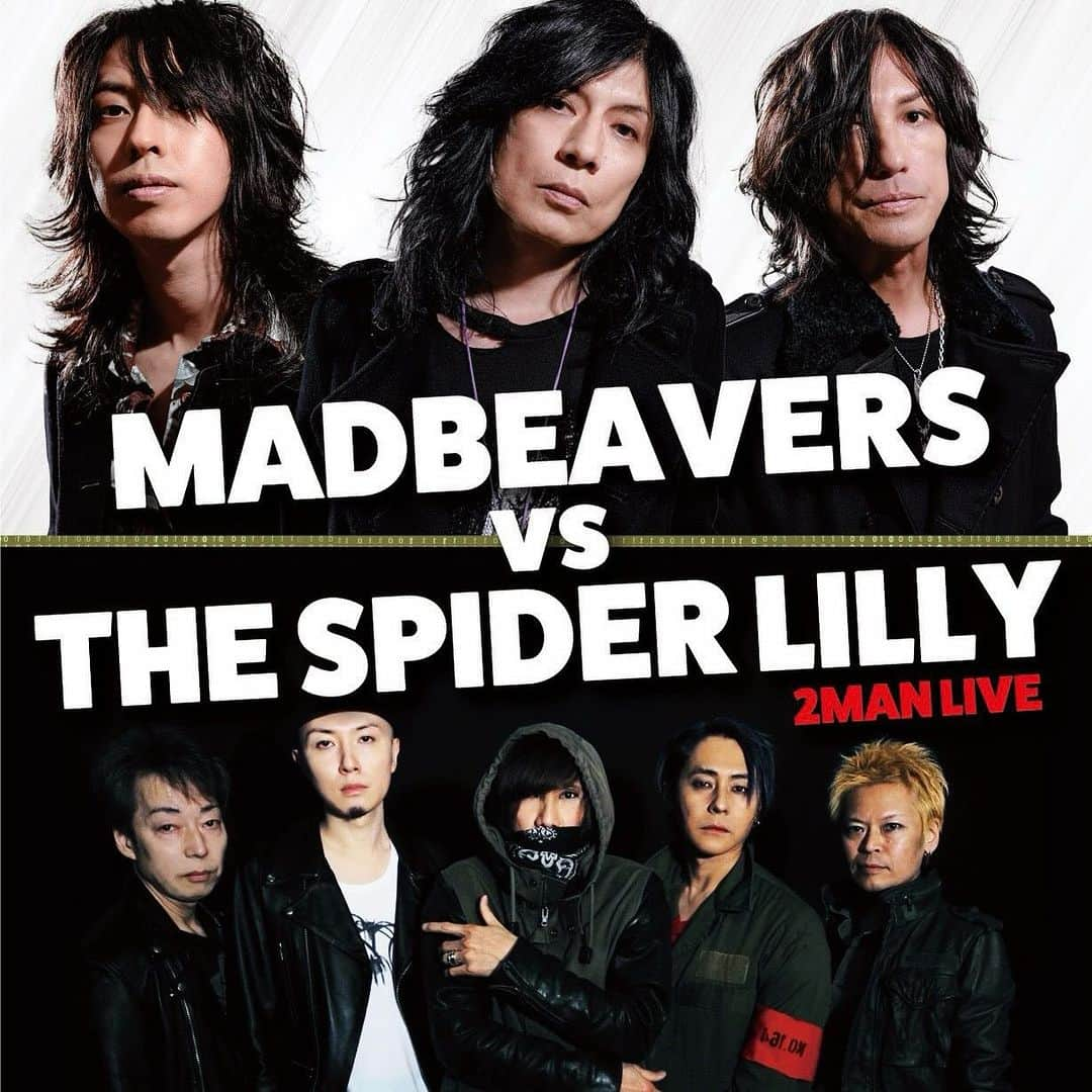 ヒロシのインスタグラム：「いよいよ今週末！  2023年12月9日(土)   千葉県　柏DOMeで#MADBEAVERS さんとライブ！  どえらい事になったもんだよ。  観に来てちょんまげ！  t.livepocket.jp/e/20231209  詳細 thespiderlilly.info  #THESPIDERLILLY #madbeavers」