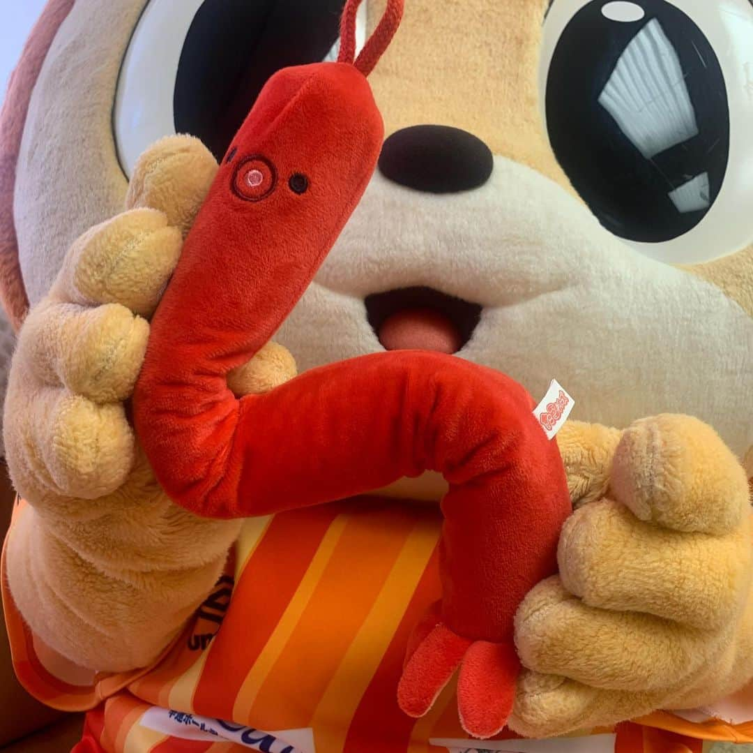 ヴィヴィくんさんのインスタグラム写真 - (ヴィヴィくんInstagram)「たこさん、やわらか～🐙✨  きょうスタッフさんに「ヴィヴィくんのつの、もぐもぐっしていい？」ってきかれました😳 (すっごくおなかすいてたのかなぁ🐥💦)  いいですよ❗ってこたえたけど、テレビとラジオしゅつえんがひかえていたのでたこさんでつくったつのをあげましたっ☺️👍️  #vvaren #vファーレン #vファーレン長崎 #長崎 #ヴィヴィくん #アルディさん、おたんじょうびおめでとうございますっ🎉🐿️💓 #3まいめからはたこさんでつくったひらがないろいろっ＼(^o^)／」12月4日 20時24分 - vivikun_vvn