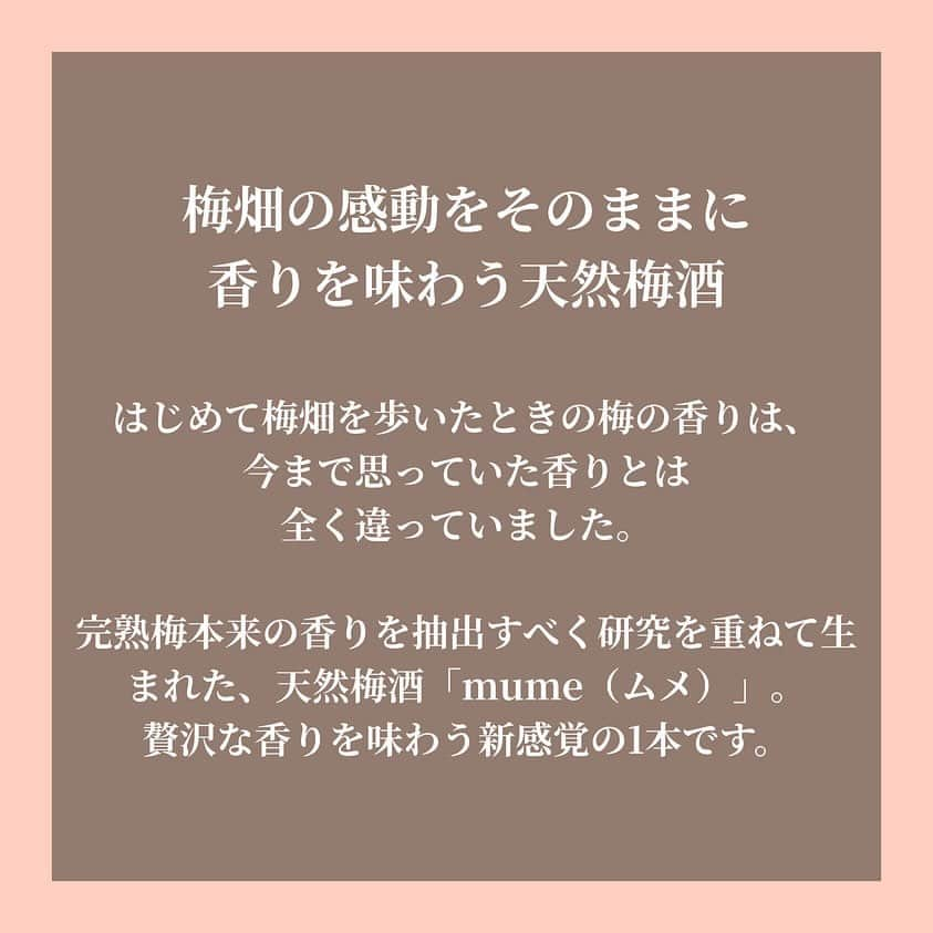 KURAND@日本酒飲み放題さんのインスタグラム写真 - (KURAND@日本酒飲み放題Instagram)「香り味わう天然梅酒mume   初めて梅畑を歩いた時の梅香りは、今まで思っていた香りと全く違っていました。  もうお試しされた方も多いのでは…? ギフトにもぴったりな清楚なボトルと爽やかな味わい。 飲む人選ばない透き通るような梅酒です✨  完熟梅酒香りを抽出した「mume」 贅沢な香りを味わう新感覚の1本をぜひお手元に。  💡クランドには珍しいコンセプトのお酒がたくさん！ 気になる方はプロフィールから @kurand_info」12月4日 20時32分 - kurand_info