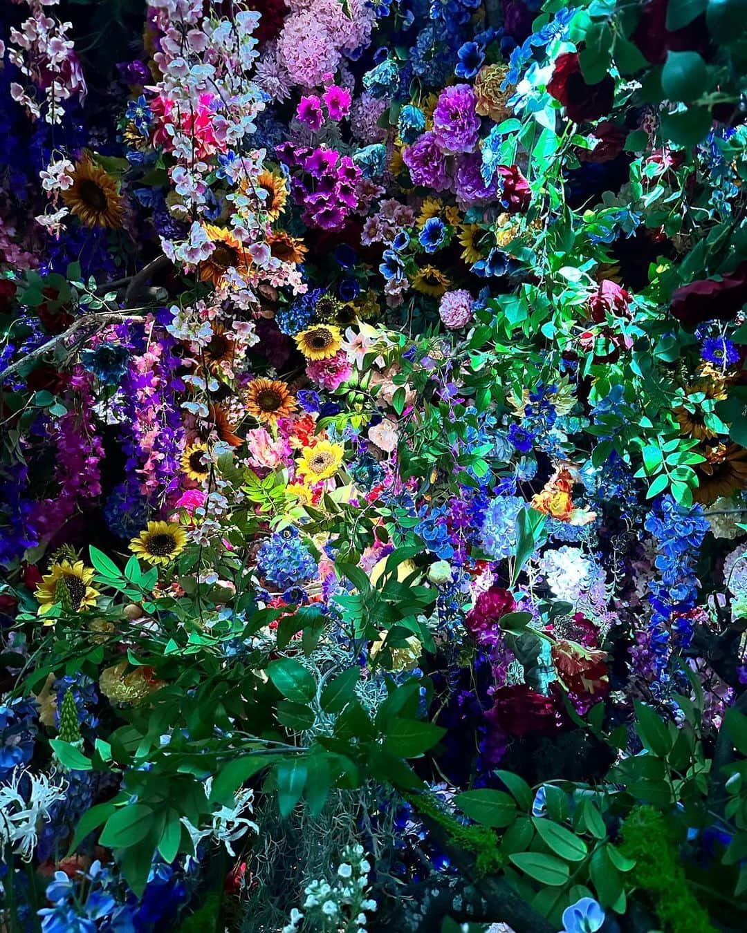 鈴木杏さんのインスタグラム写真 - (鈴木杏Instagram)「「蜷川実花展 Eternity in a Moment 瞬きの中の永遠」へ✨✨✨✨ 実花さんの表現が、さらにさらに大きく羽ばたいていた！！空間や照明の演出の素晴らしさ、そして永遠に観ていたい、映像。 まさに瞬きの中の永遠がひたすらに、私という存在に溶け込んで流れていった。実花さんの創造、そのいちばん純粋な、美しく柔らかい部分を見せてもらえたような、、、とても貴重な展示。 おすすめすぎます。 そしてこの展示を経ての、映画監督としての蜷川実花さんも楽しみすぎる✨✨✨  実花ちゃん、らゔ🫶🏻 @ninagawamika   「蜷川実花展 Eternity in a Moment 瞬きの中の永遠」  会期：2023.12/5-2024.2/25 会場：TOKYO NODE 45階 GALLERY A/B/C  #蜷川実花展eim #百万色の桃源郷へ #TOKYONODE」12月4日 20時33分 - anne.suzuki.official