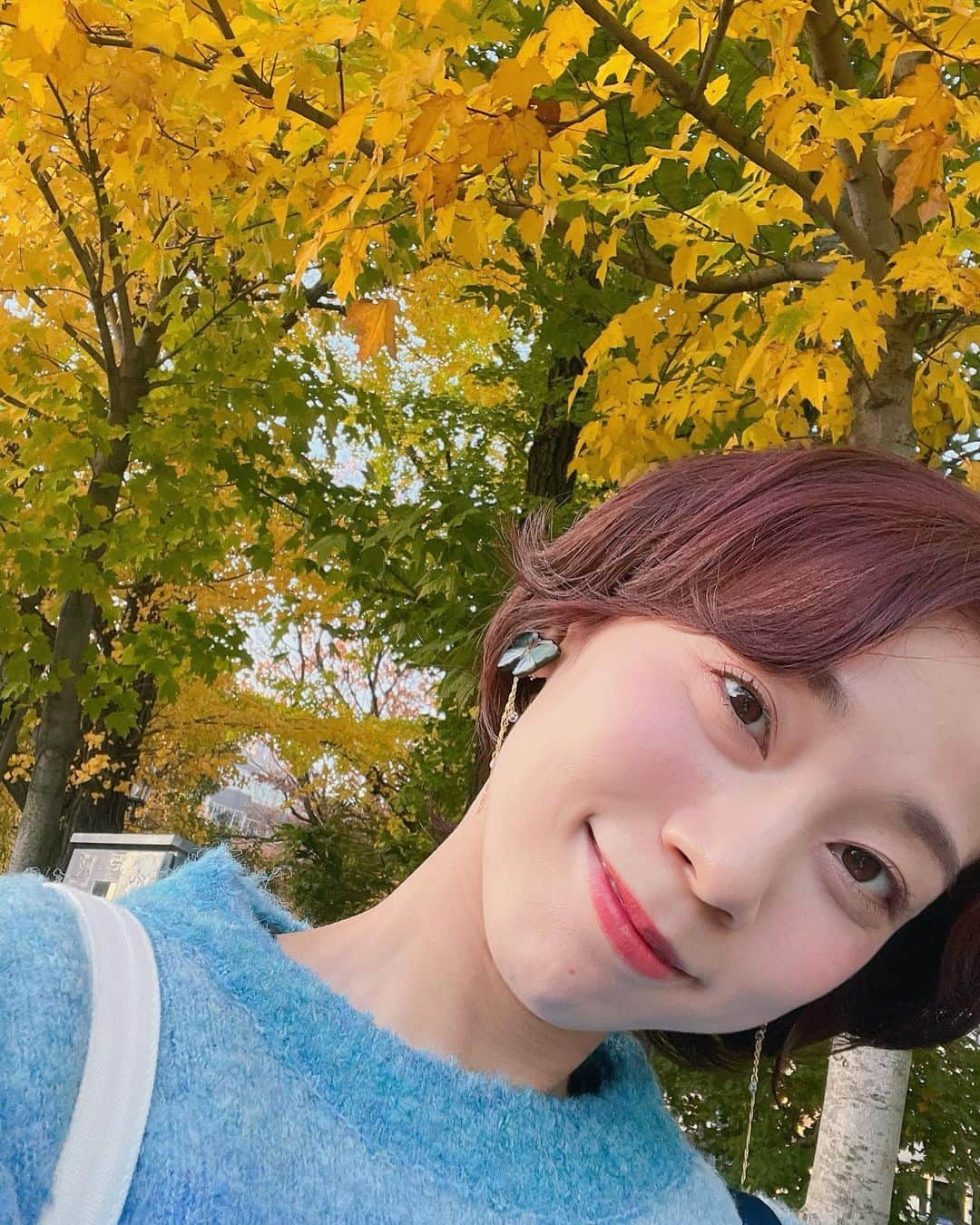 真彩希帆さんのインスタグラム写真 - (真彩希帆Instagram)「みなさま、こんばんは🦊  名古屋に入り、 御園座『LUPIN』公演もあと少しで始まります🥳  先日髪の色を赤っぽくしたよ〜という投稿していなかったなぁと。 日に当たると🍁みたいで綺麗 とっても気に入ってます☺️  退団してから色を入れたりとかしていなかったので 久しぶりで気分も明るくなりました🍎☀️  暖色カラーにする日に あえてのセーターはブルーで🦋🪼  寒色の洋服でも似合う、とっても素敵なバランスで 仕上げて下さってありがとうございました🍒❤️ @yuzuki_kabasawa   帰り道の 黄色く色付いた葉っぱに癒され🍂 秋から冬への移り変わりが見える楽しい季節。  名古屋は寒いかな〜。 あったかく、風邪ひかないように過ごしましょ😌🧶  #ヘアカラーチェンジ #秋色🦊🍎  #一回くるっくるのパーマあててみたい #🤨  #真彩希帆」12月4日 20時41分 - maayakiho