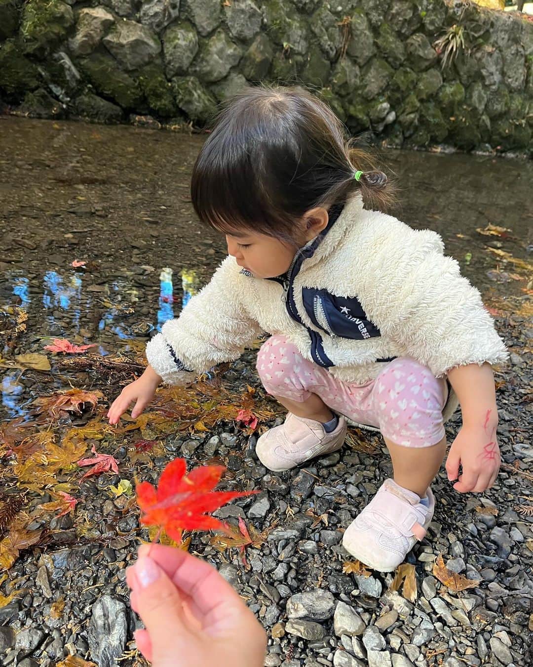重長智子さんのインスタグラム写真 - (重長智子Instagram)「. . 娘と朝活🍁 珍しく平日休みだったので 森町の小國神社へ。 . 地元の方によると、 紅葉の見頃は過ぎているようですが、 初めて見た私たちには見応えがありました☺️ . 朝の澄んだ空気、 紅葉した木々からの木漏れ日に 癒されました♡ . 3歳の娘と落ちた赤や黄色の葉を見つけて 綺麗だねー、と話をする。 そんな時間も幸せだと感じました。 . 偶然、新郎新婦が紅葉と写真撮影していて 幸せのお裾分けもしてもらいました。 . 師走に入って急に冷えてきました。 インフルエンザも流行っていますので 皆さんもお気を付けください。 . . #静岡県 #森町 #小國神社 #パワースポット #紅葉スポット #癒し #いいことありそうな予感 #3歳女子 #気分屋です」12月4日 20時57分 - tomoko_shigenaga