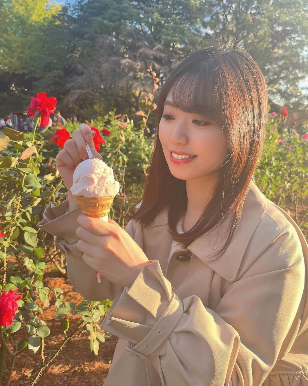 星名あゆみのインスタグラム：「秋バラと薔薇アイス🌹🍨  薔薇アイス結構好みの味だから 家にストックしておきたい😋  3枚目は食べてる動画🍦」