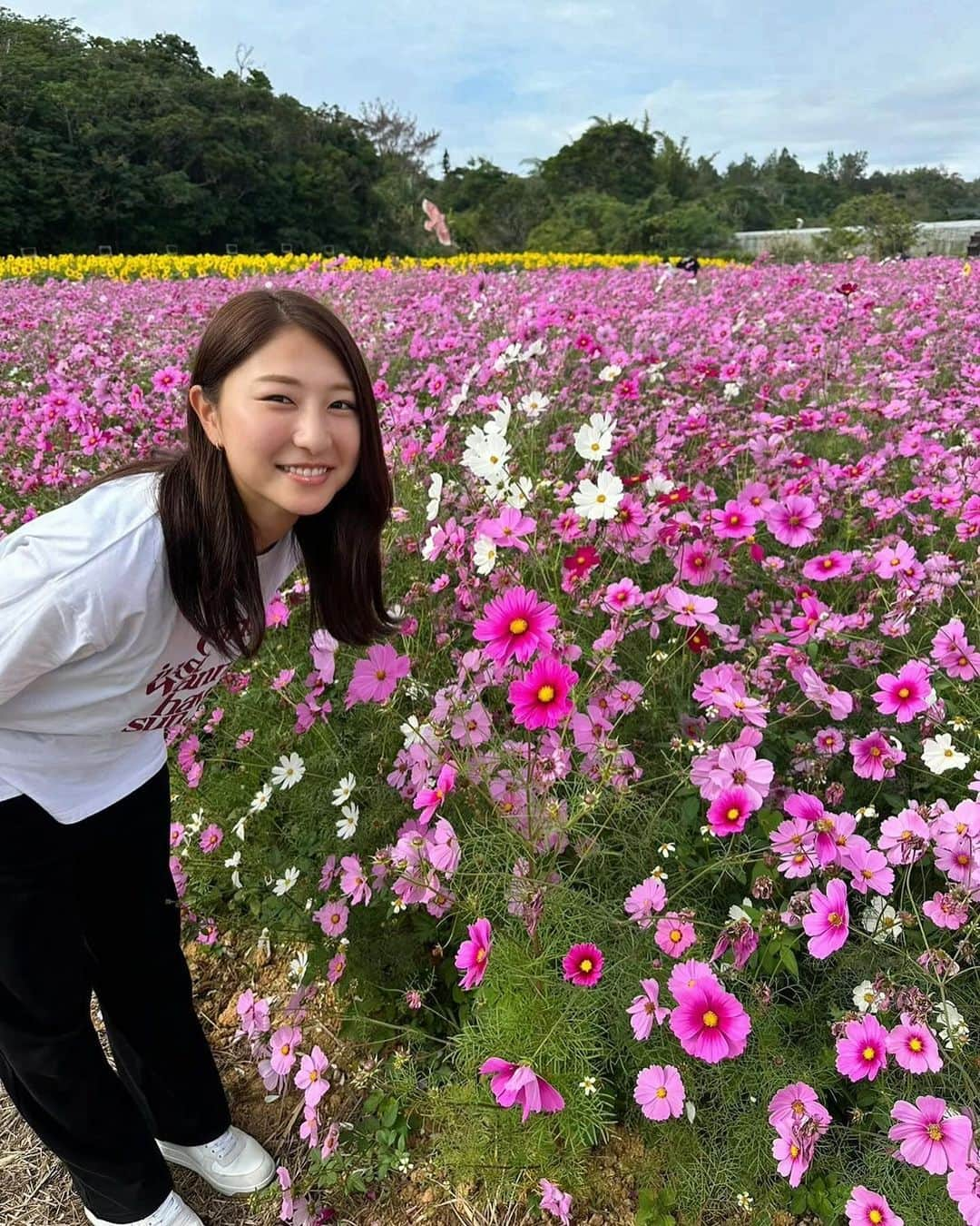 塩越柚歩さんのインスタグラム写真 - (塩越柚歩Instagram)「. お花シリーズ🌼(意外と好評) ふらっと現れたお花畑でピンクと黄色に囲まれてきました🌻 やっぱりピンクのお花はかわいいし ひまわりはパワーもらえた💗 大量のひまわりがみんな太陽の方向いててかわいかったです😌笑 ⁡ #オフノイチニチ #WEリーグ #浦和レッズ #三菱重工浦和レッズレディース #塩越柚歩」12月4日 21時40分 - yuzuho_shiokoshi19