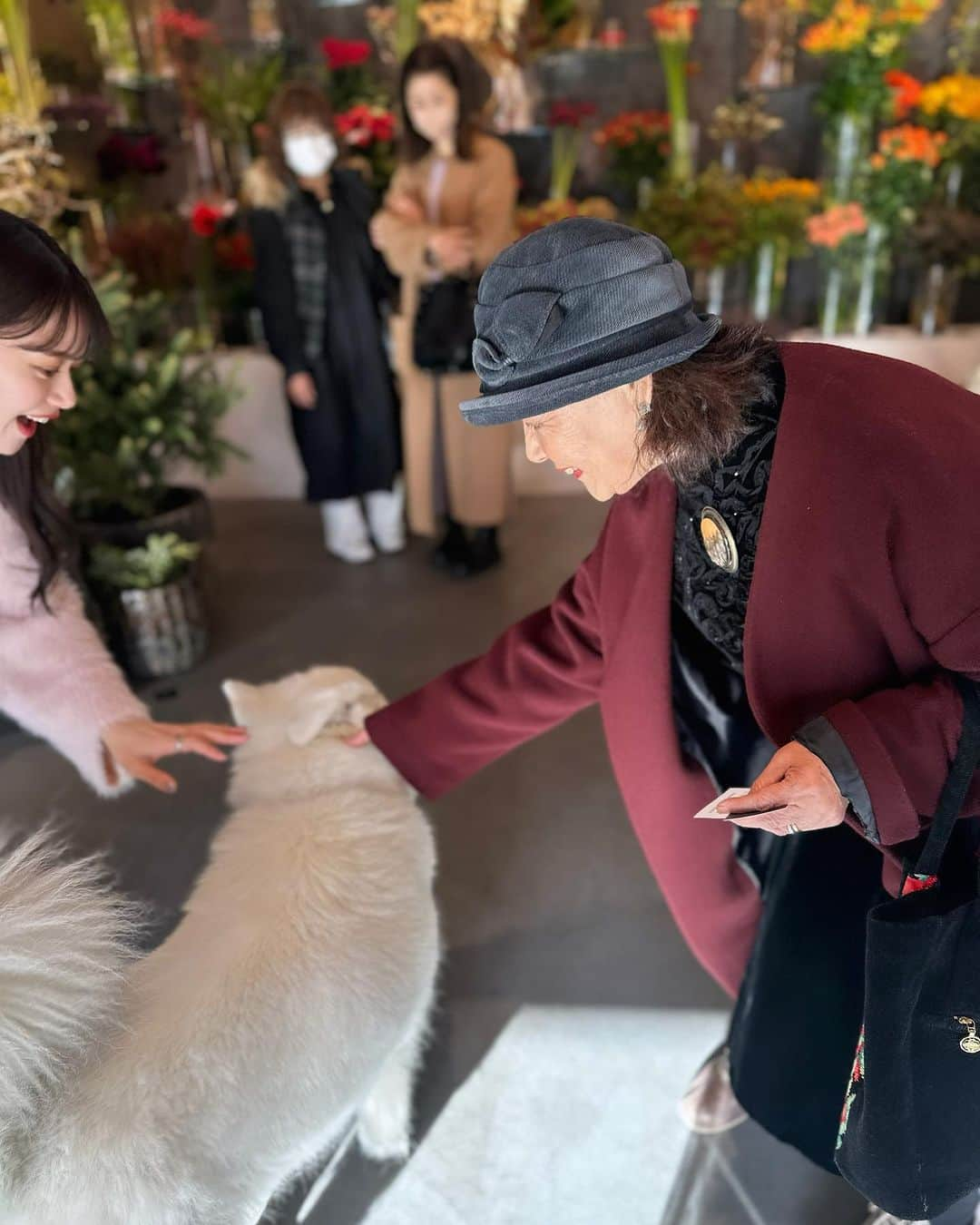 山崎春佳さんのインスタグラム写真 - (山崎春佳Instagram)「🪷🤍  実家から近くのコモノ花苑へ初めて行きました❕ 建物からディスプレイの仕方、そして置いている植物が 素敵で長らく滞在しちゃった。☕️  今年はピンクをたくさん着るぞ！と決めていたので、 色物に合わすべくホワイトバッグを新調しました🤍 色んなファッションに合わせやすい👏🏻 以前から使っていた @bag_hayni のバッグがあまりにも 使いやすかったので、またHAYNIで違うデザインを◎  そしたら案の定軽くてたくさん入って使いやすいし、 高見えでよかった✧꙳  クーポンコード(10%OFF)：harukayamazaki 有効期限：12/14(水)23:59まで  #PR #プロモーション #HAYNI #ヘイニ #トートバッグ #ショルダーバッグ #高見えバッグ #バッグ好き #大人ファッション #大人女子コーデ #菰野 #こもの花苑 #トップス #heather #me #tbt #ootd #whitebag」12月4日 21時42分 - haruka_yamazaki