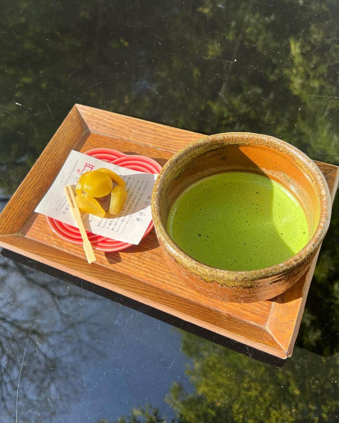 中村優さんのインスタグラム写真 - (中村優Instagram)「熱海の来宮神社、居心地の良い素敵な場所だった🎋⛩️」12月4日 21時48分 - nkmr_yu