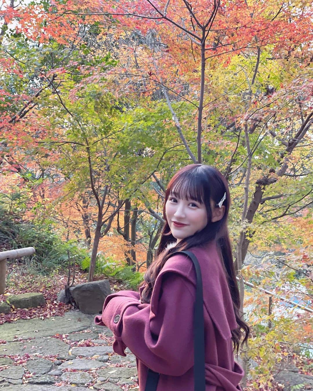 音嶋莉沙さんのインスタグラム写真 - (音嶋莉沙Instagram)「紅葉が綺麗🍁」12月4日 22時08分 - otoshima_risa