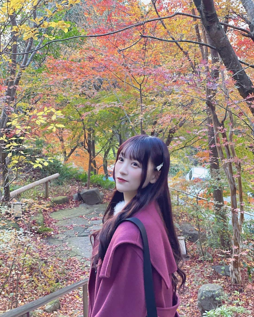 音嶋莉沙さんのインスタグラム写真 - (音嶋莉沙Instagram)「紅葉が綺麗🍁」12月4日 22時08分 - otoshima_risa