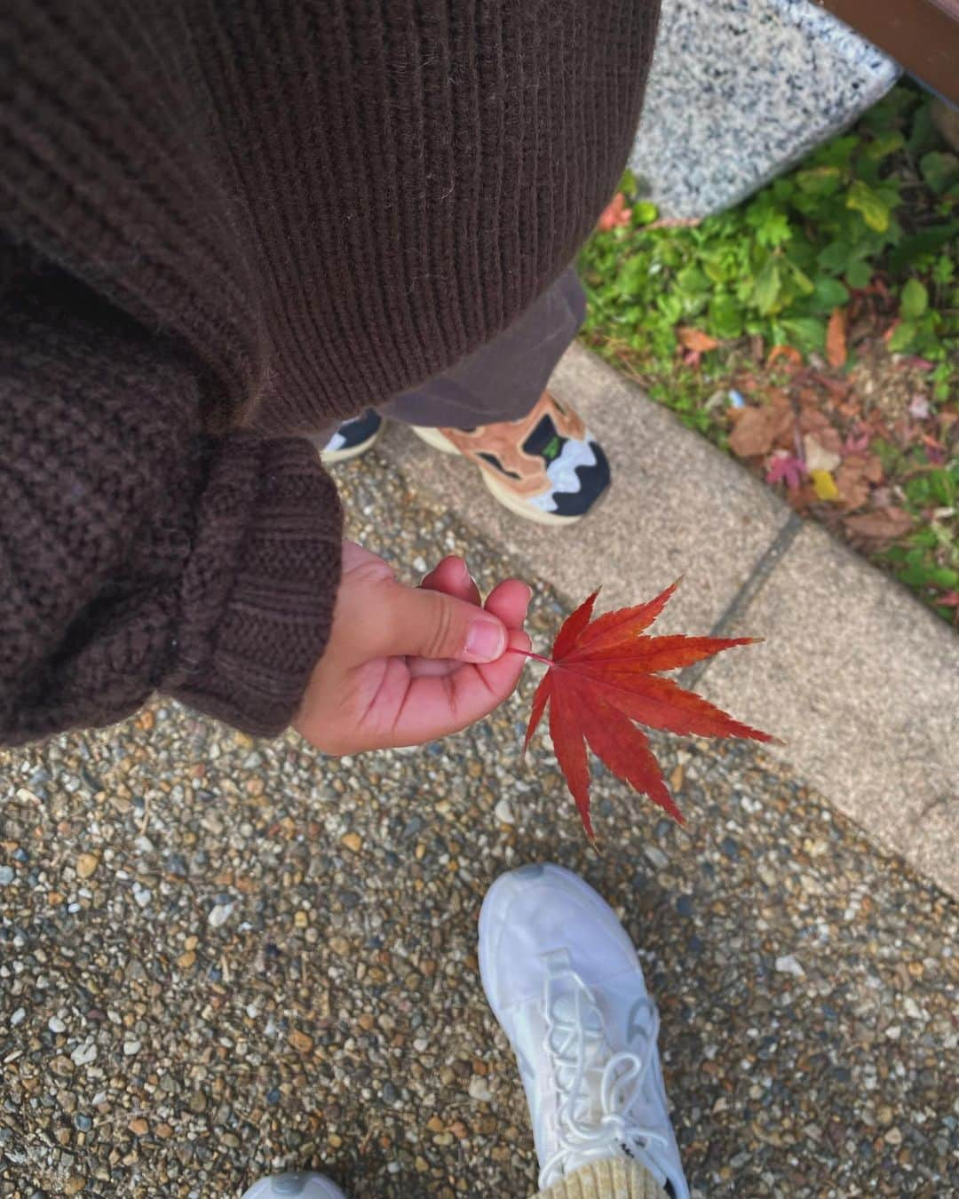 鬼辻麻衣さんのインスタグラム写真 - (鬼辻麻衣Instagram)「🍁  あんちゃんとブランチして 紅葉見にぷらっとお散歩した日🫶  京都の紅葉また見に行きたい、、🥺🍁  #紅葉　#大阪城紅葉  #asakaragoodstore」12月4日 22時08分 - kitsumai