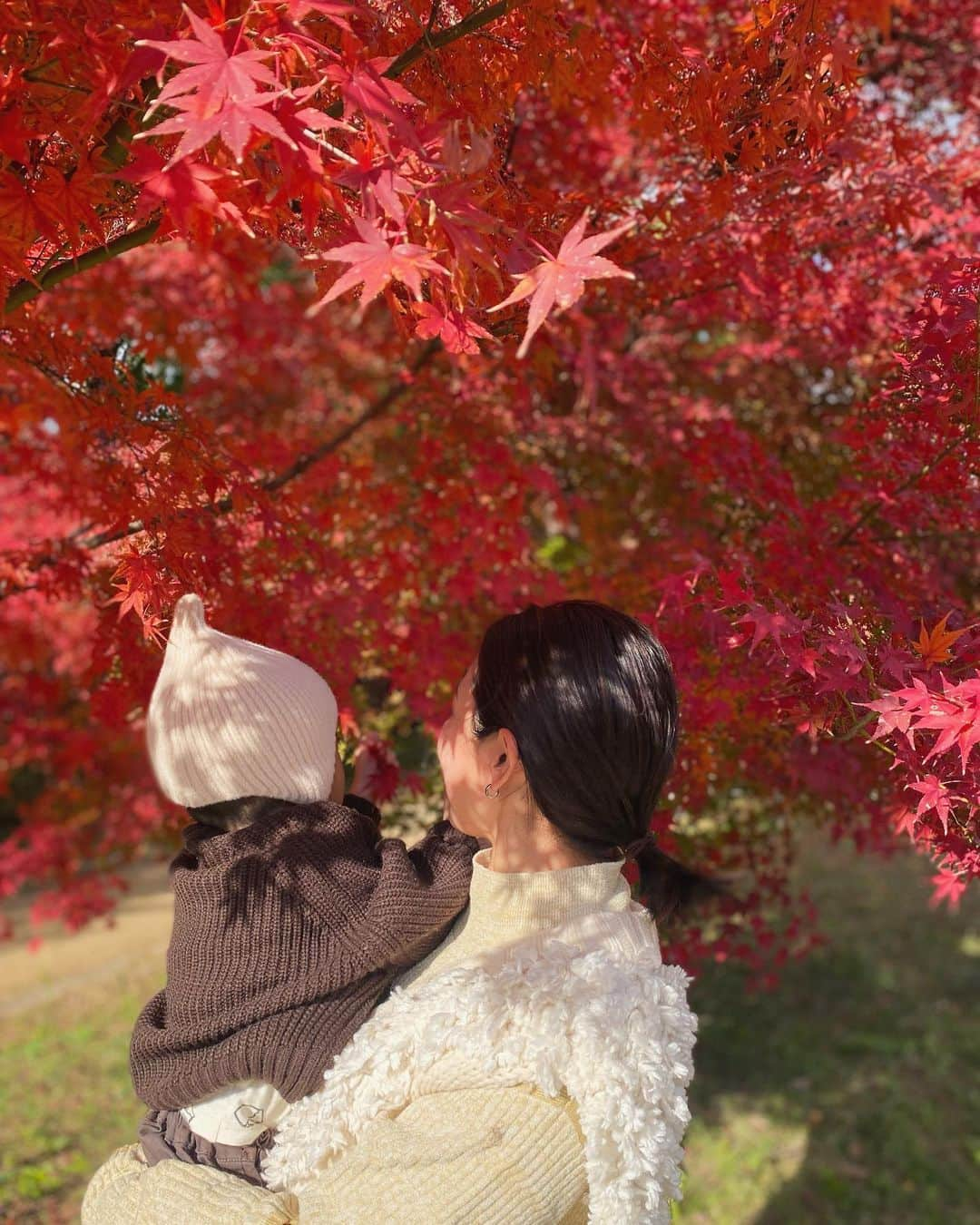 鬼辻麻衣さんのインスタグラム写真 - (鬼辻麻衣Instagram)「🍁  あんちゃんとブランチして 紅葉見にぷらっとお散歩した日🫶  京都の紅葉また見に行きたい、、🥺🍁  #紅葉　#大阪城紅葉  #asakaragoodstore」12月4日 22時08分 - kitsumai