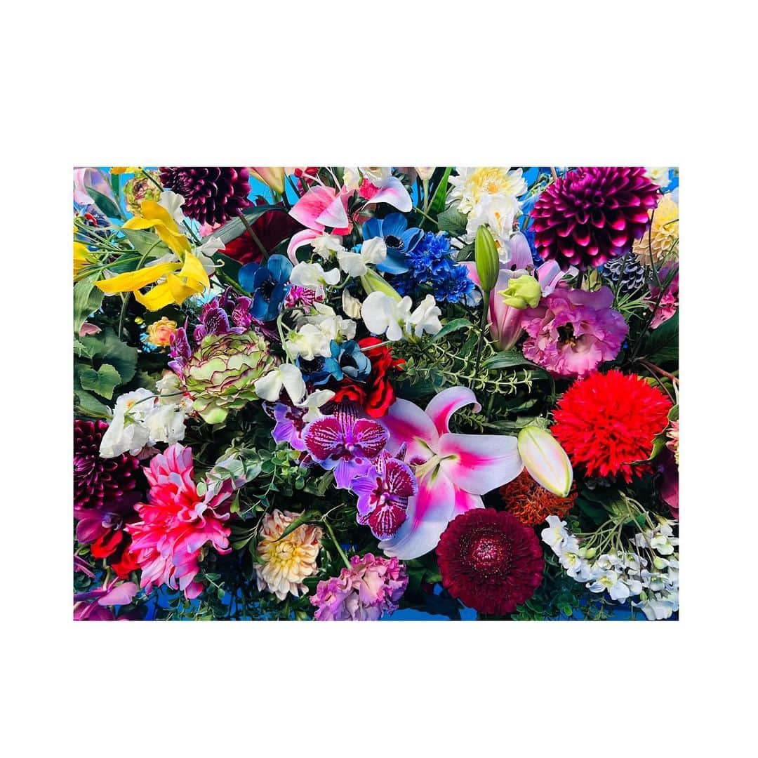室井由美子さんのインスタグラム写真 - (室井由美子Instagram)「@ninagawamika 展「Eternity in a Moment 瞬きの中の永遠」オープニングパーティへ。 @tokyonode 45Fにて12/5〜2024/2/25まで開催。 ・ 色とりどりのインスタレーションや花で埋め尽くすセット など、蜷川実花さんの世界観が溢れていて見所十分です🌸 ・ #とにかく映えます #100万色の桃源郷へ  #蜷川実花展eim #TOKYONODE #toranomonhills #tokyo」12月4日 22時10分 - yumikomuroi